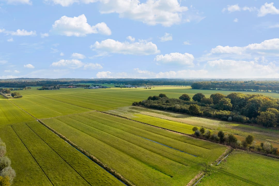 Foto 62 van Doornseweg 31-A