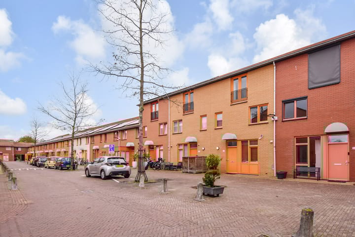 Photo 43 of Operatie Mannahof 60