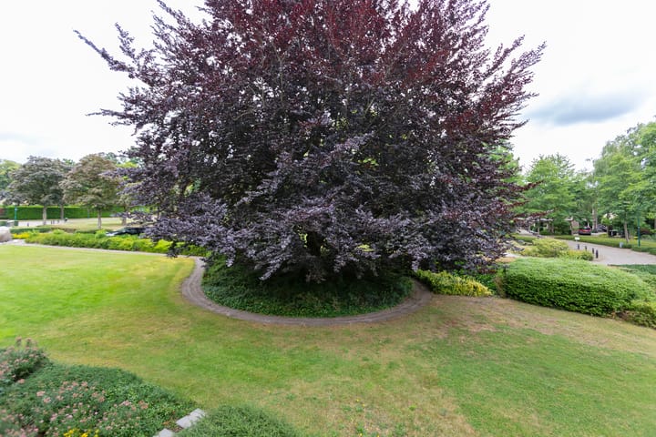 Foto 9 van Kwartellaan 13