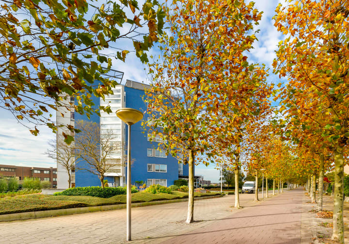 Photo 51 of Galle Promenade 758