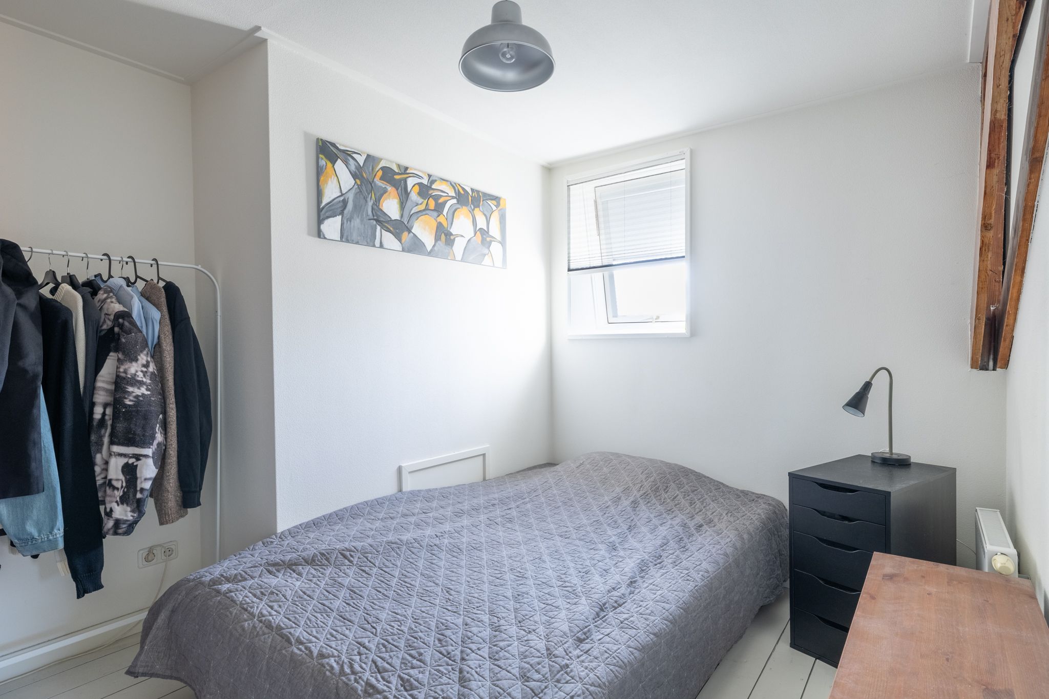 Foto 33 van van Hasseltstraat 36