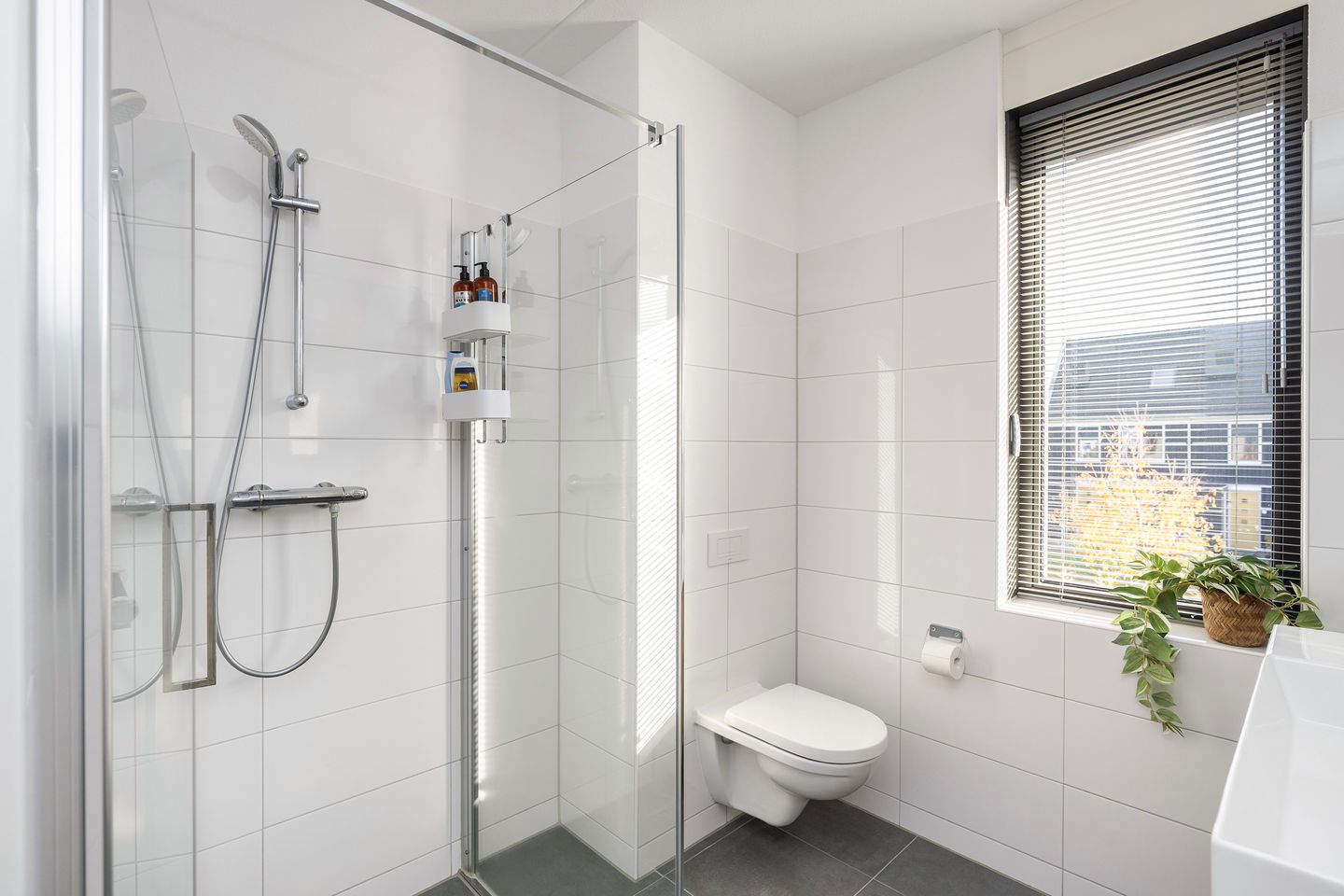 Foto 19 van Kalandermolen 6