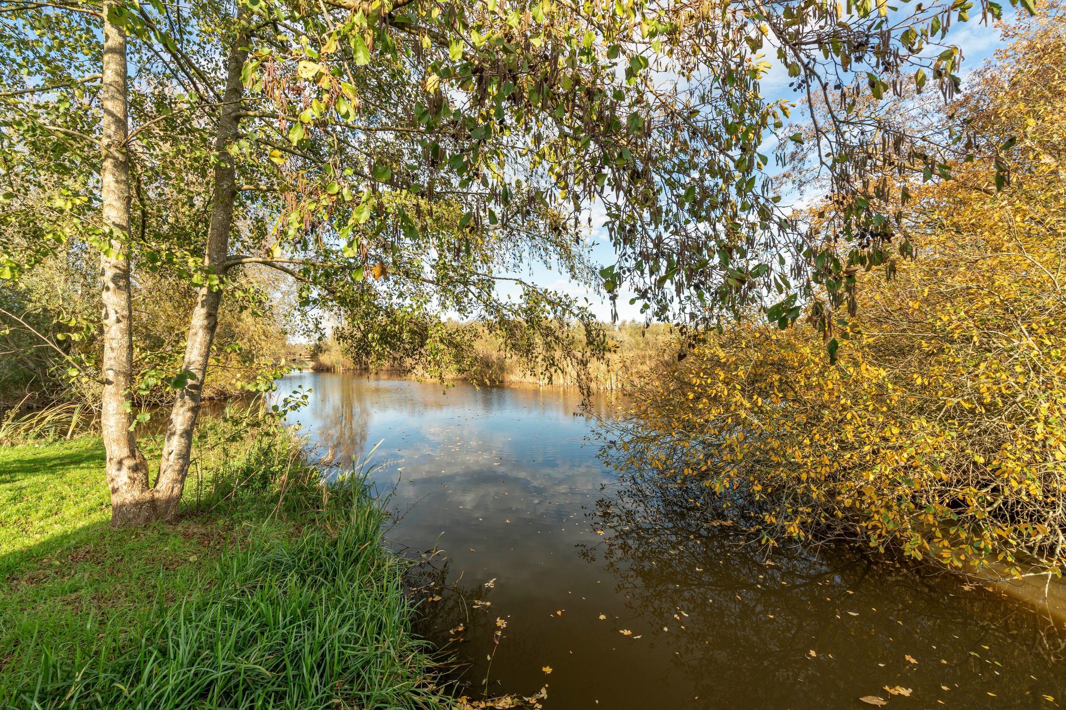 Photo 33 of Marie Baronlaan 49