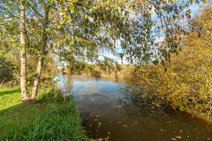 Foto 33 van Marie Baronlaan 49