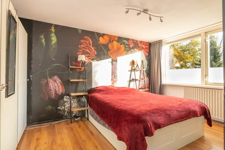 Foto 24 van Saturnus 72