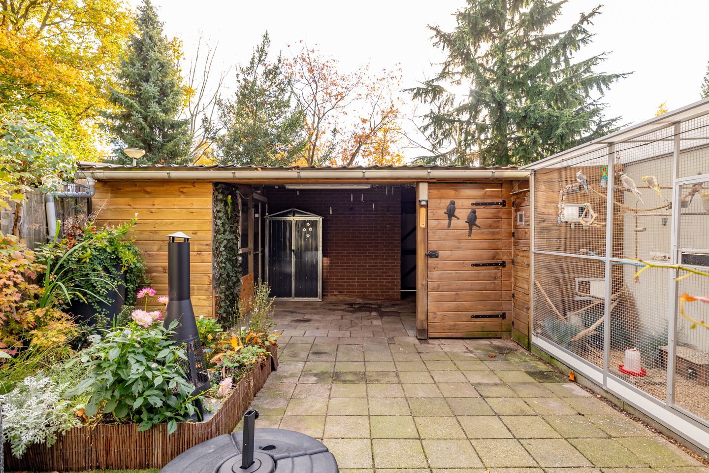 Foto 49 van Saturnus 72