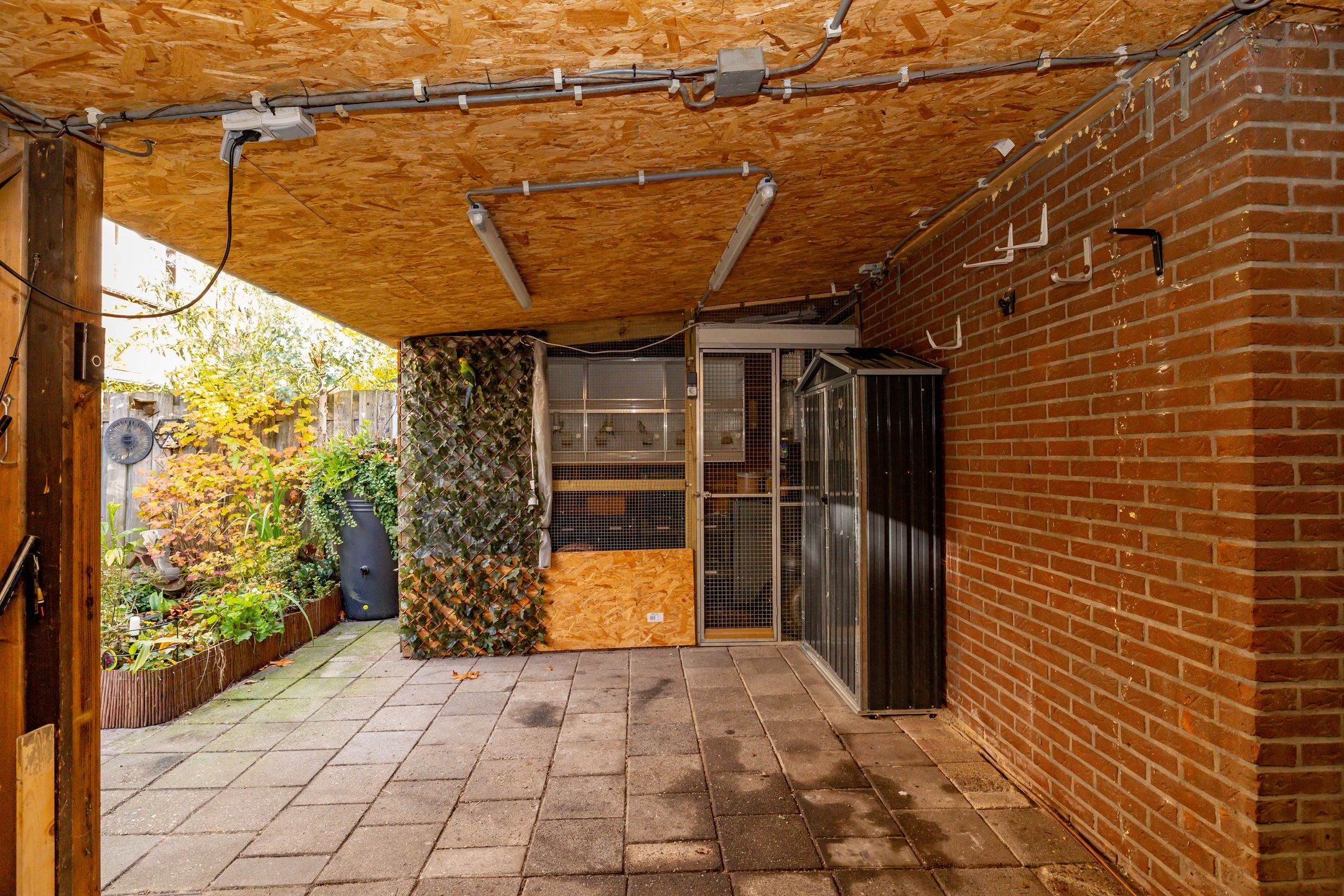 Foto 54 van Saturnus 72