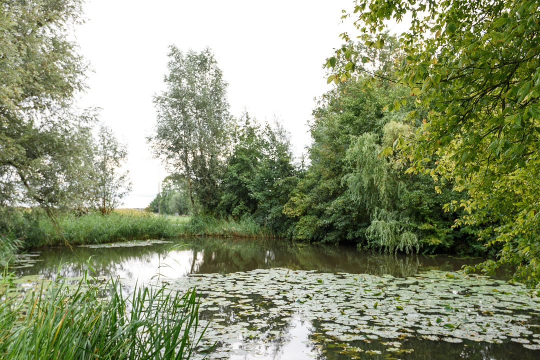 Foto 17 van Kortland 57-A