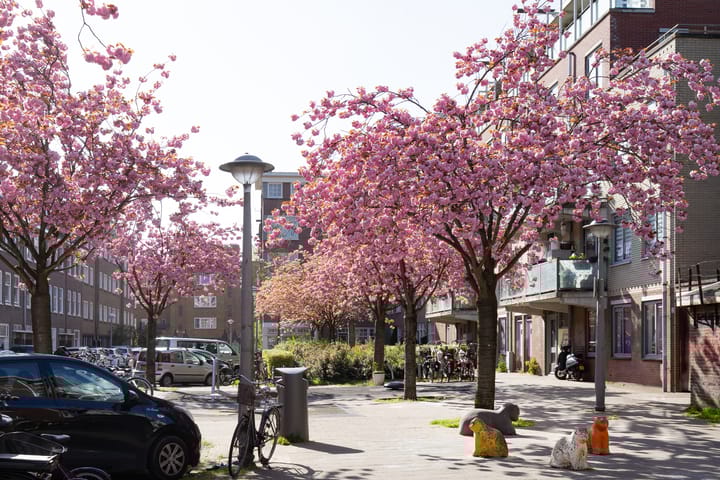 Photo 22 of Bestevâerstraat 88-1