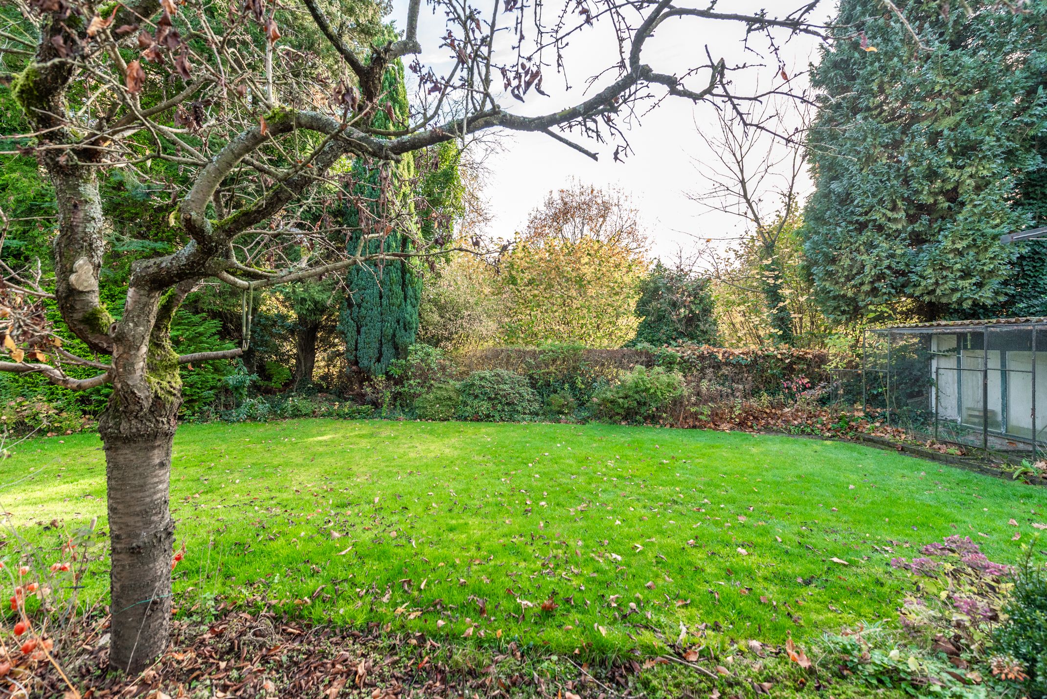 Foto 3 van Archimedesstraat 58