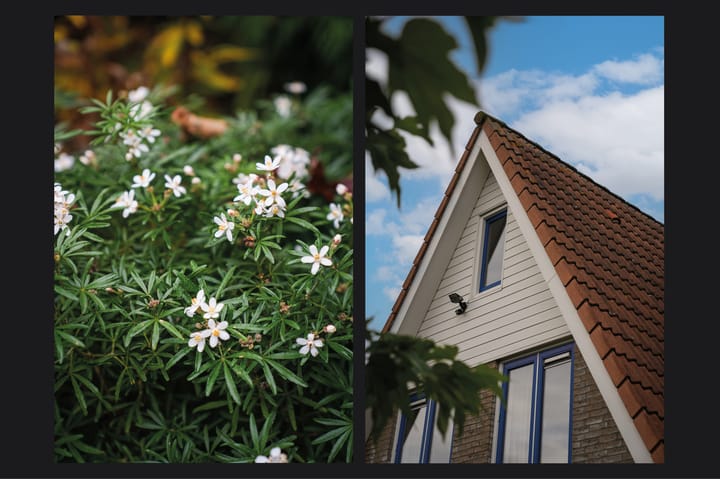 Foto 38 van Luthulisingel 54