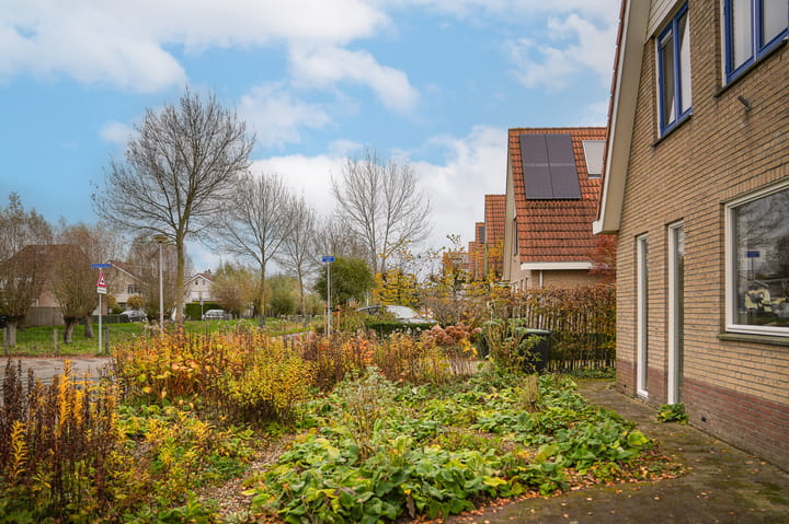 Foto 43 van Luthulisingel 54