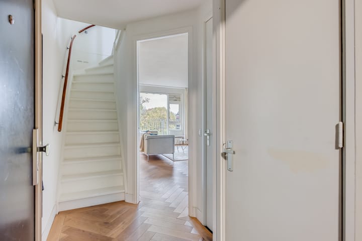 Photo 6 of Albert van Dalsumlaan 237