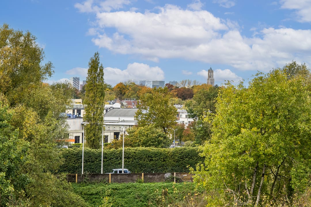 Foto 37 van Albert van Dalsumlaan 237