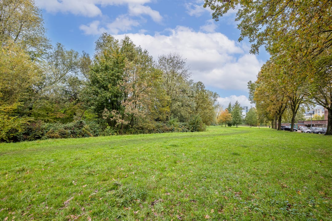 Foto 43 van Albert van Dalsumlaan 237