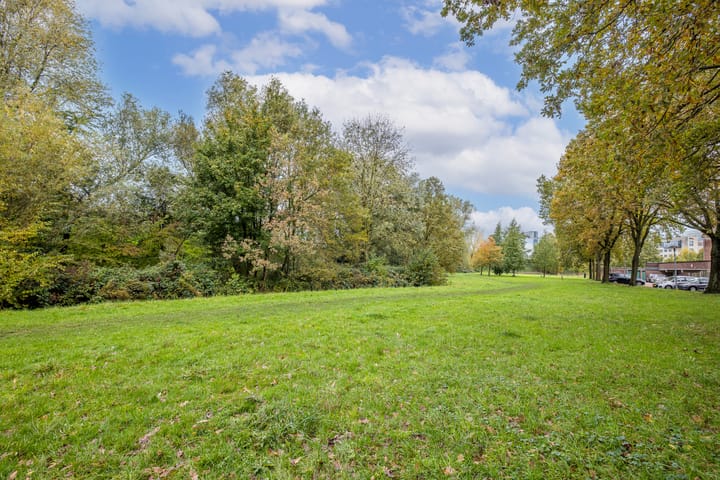 Photo 43 of Albert van Dalsumlaan 237