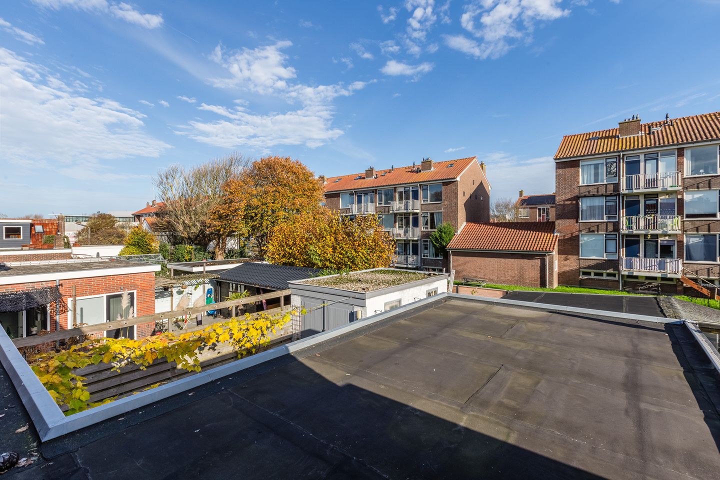 Foto 55 van Baron Sweerts de Landas Wyborghstraat 21