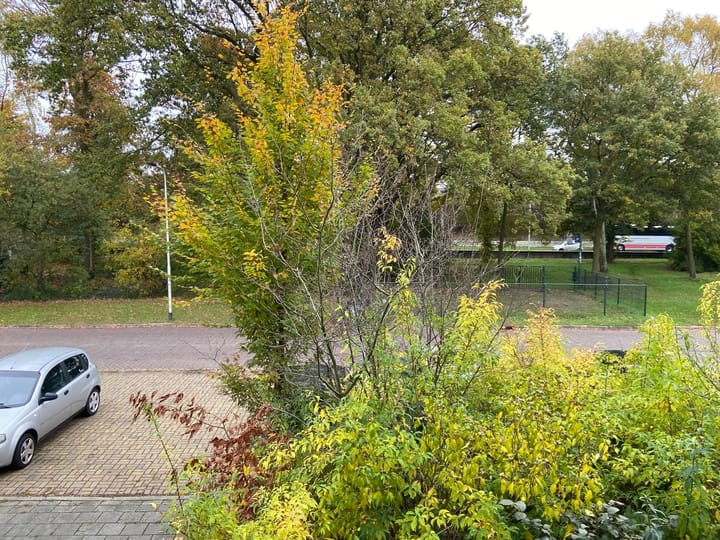 Foto 8 van Sonatestraat 61