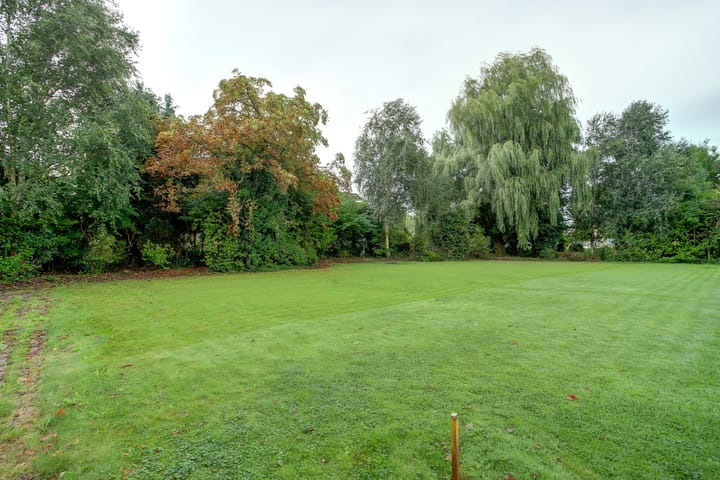 Foto 4 van Houtduif 1-A