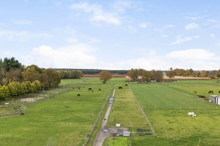 Photo 56 of Eserstraat 23-B