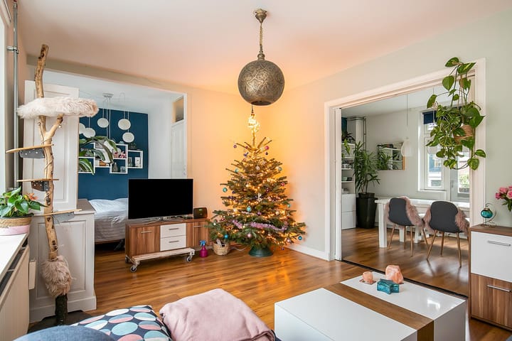 Photo 9 of Van 't Santstraat 123