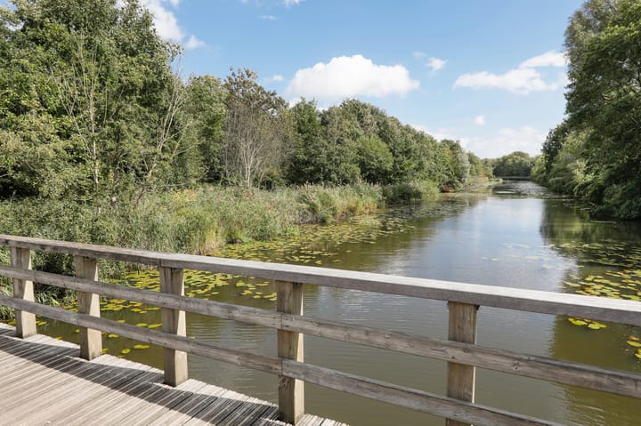 Foto 50 van Maximiliaanstraat 38