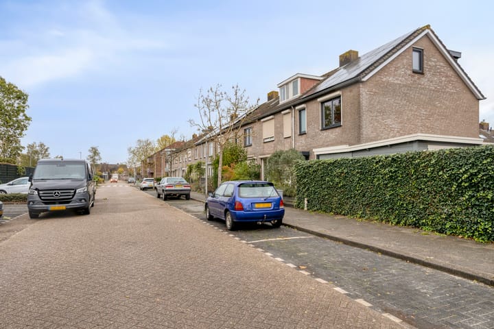 Foto 7 van Kraanvogel 49