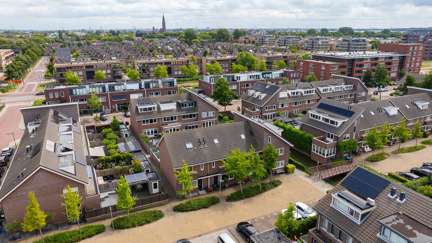 Foto 4 van Grijze Walvis 6