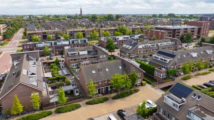 Foto 4 van Grijze Walvis 6