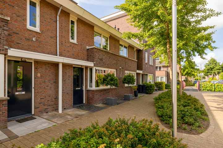 Foto 5 van Grijze Walvis 6