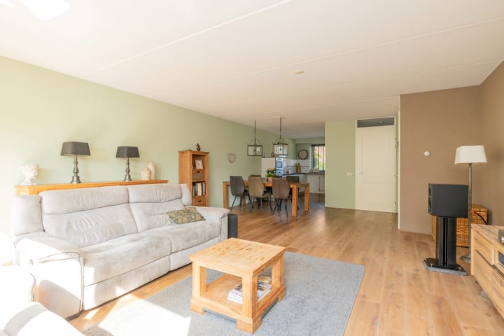 Foto 9 van Grijze Walvis 6