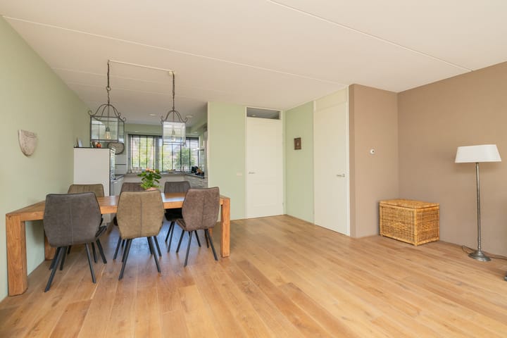 Foto 11 van Grijze Walvis 6