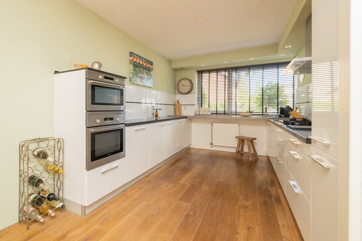 Foto 13 van Grijze Walvis 6