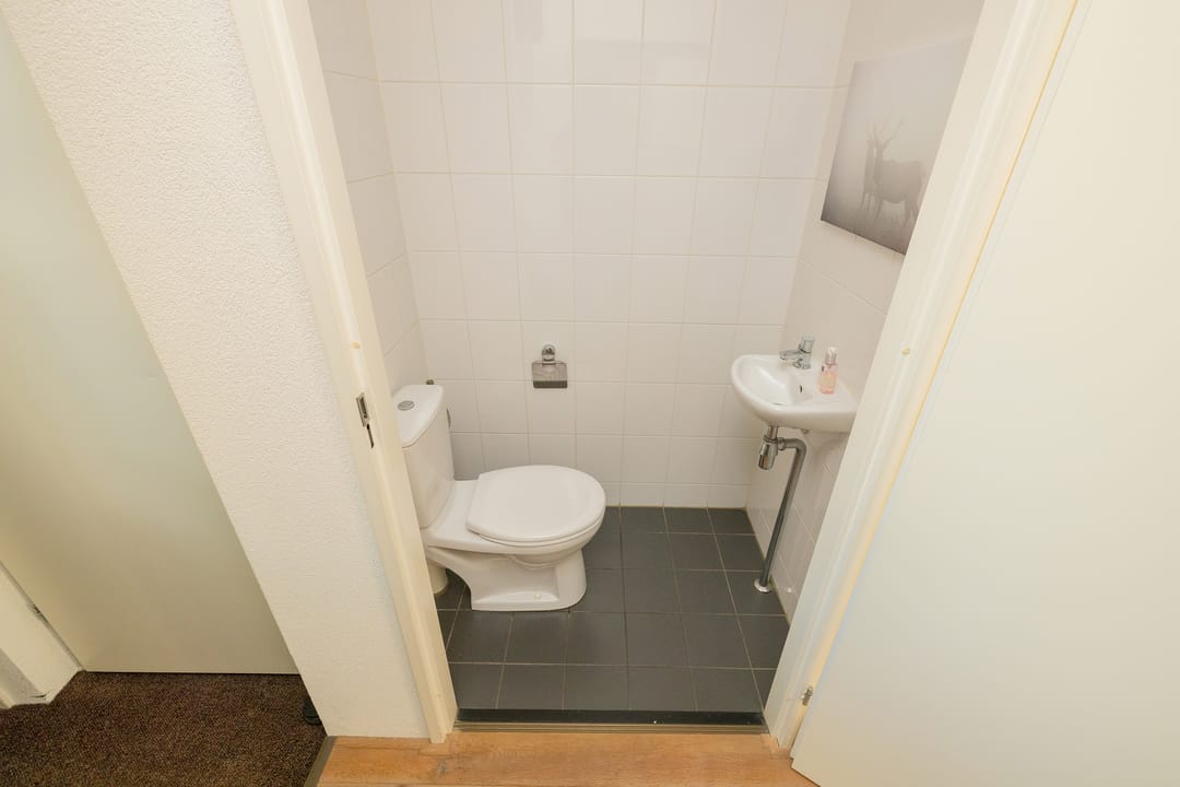 Foto 17 van Grijze Walvis 6