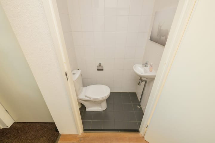 Foto 17 van Grijze Walvis 6