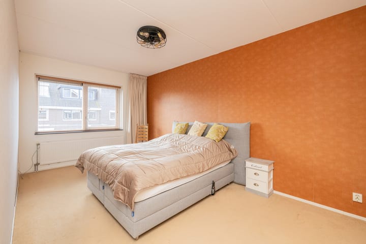 Foto 18 van Grijze Walvis 6