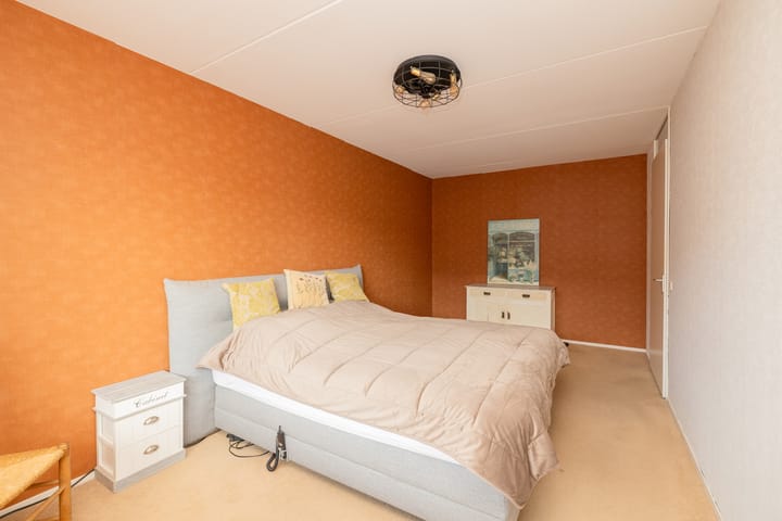 Foto 19 van Grijze Walvis 6