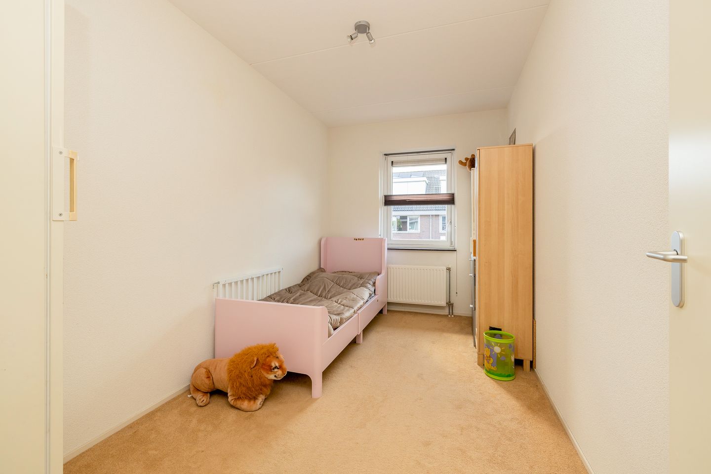 Foto 20 van Grijze Walvis 6