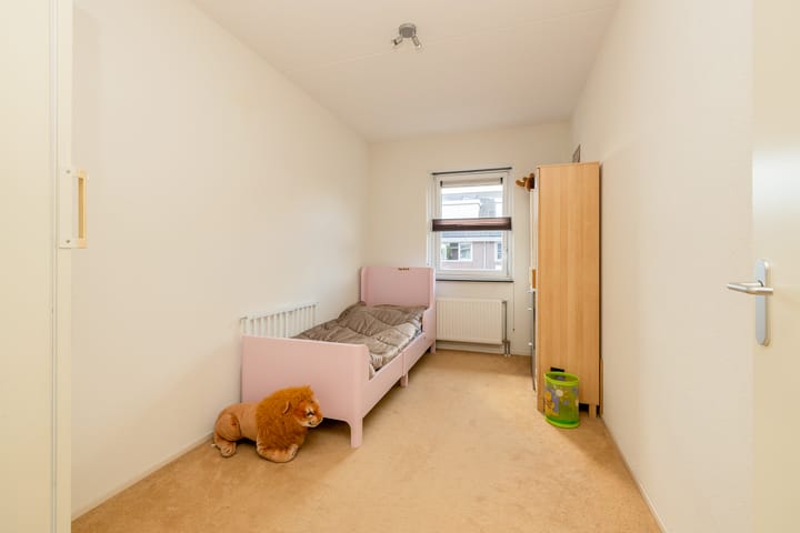 Foto 20 van Grijze Walvis 6