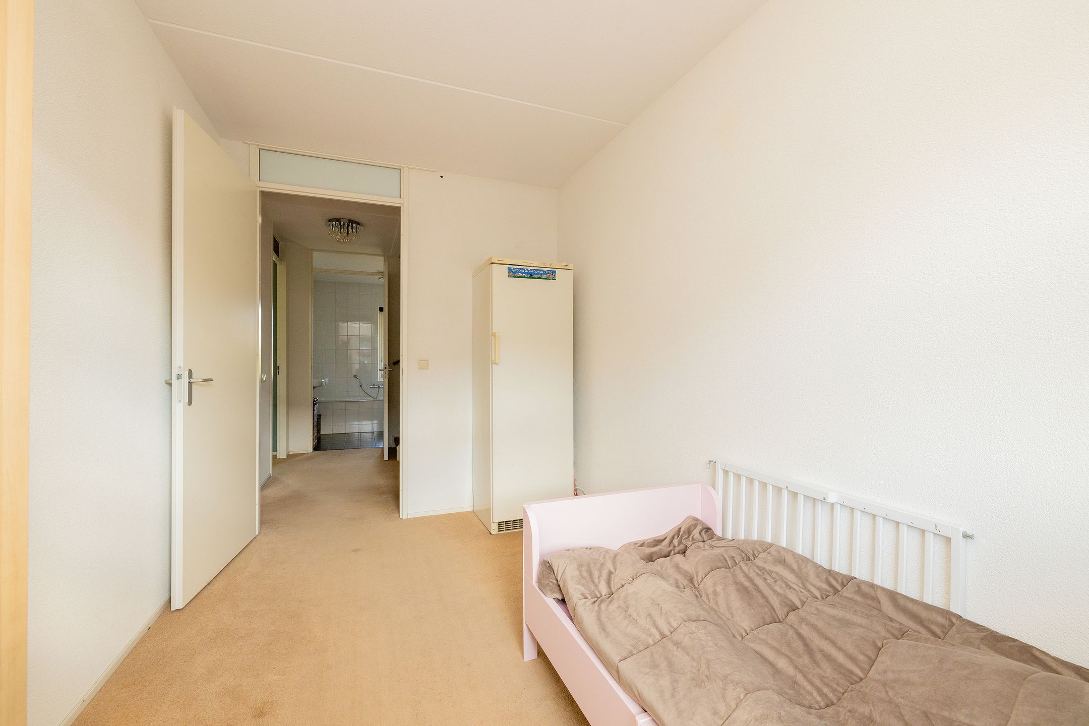 Foto 21 van Grijze Walvis 6