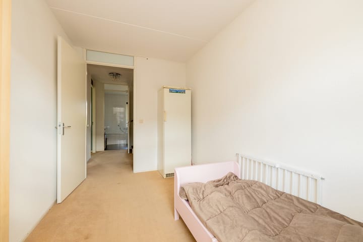 Foto 21 van Grijze Walvis 6