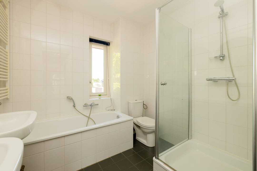 Foto 22 van Grijze Walvis 6