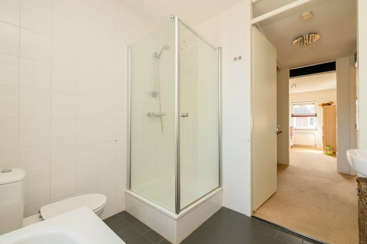 Foto 23 van Grijze Walvis 6