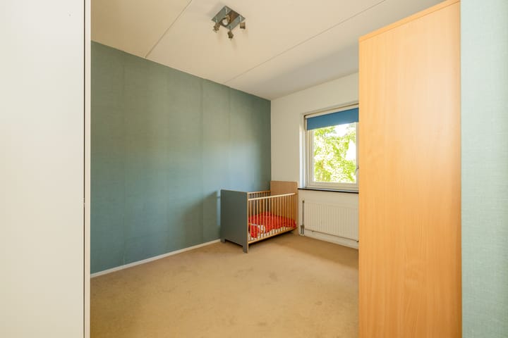 Foto 25 van Grijze Walvis 6