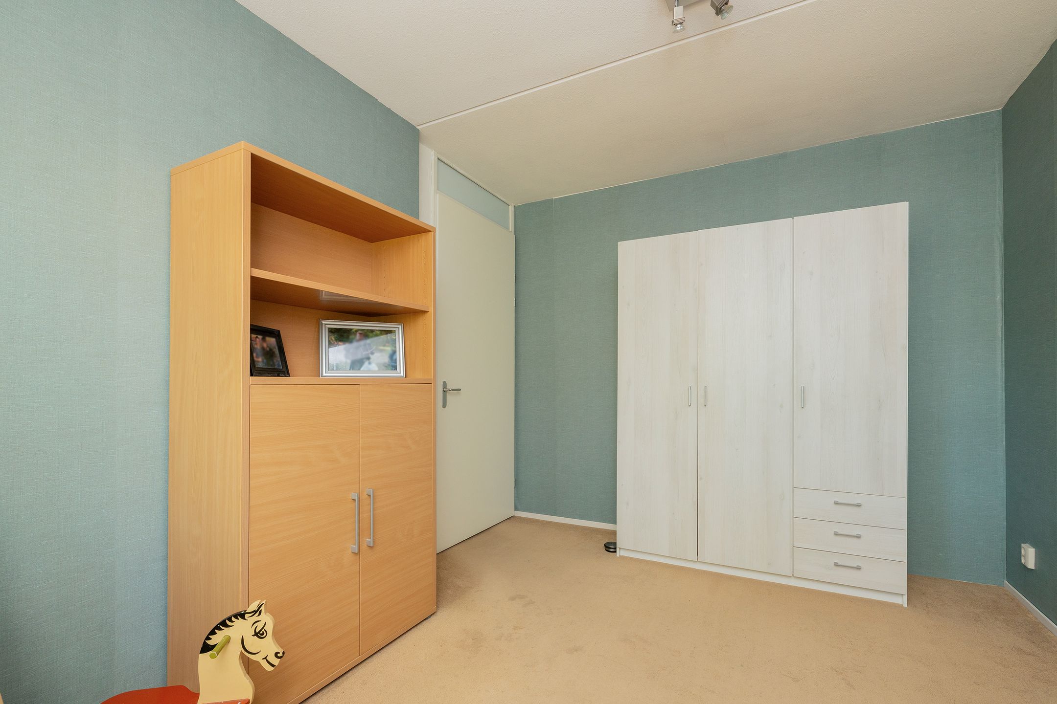 Foto 27 van Grijze Walvis 6