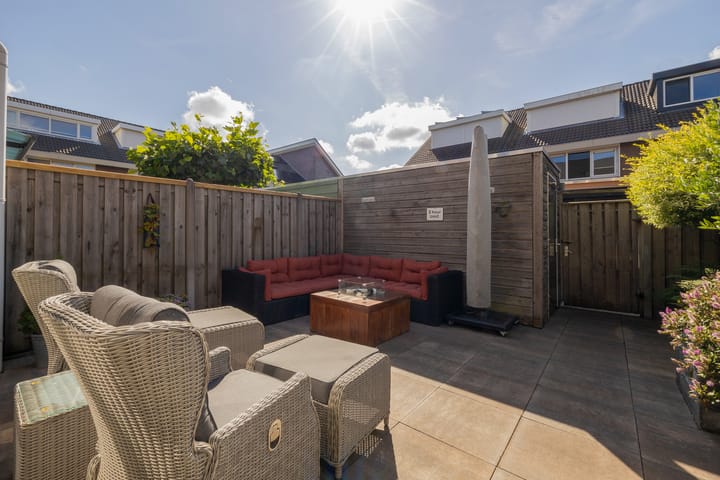 Foto 31 van Grijze Walvis 6