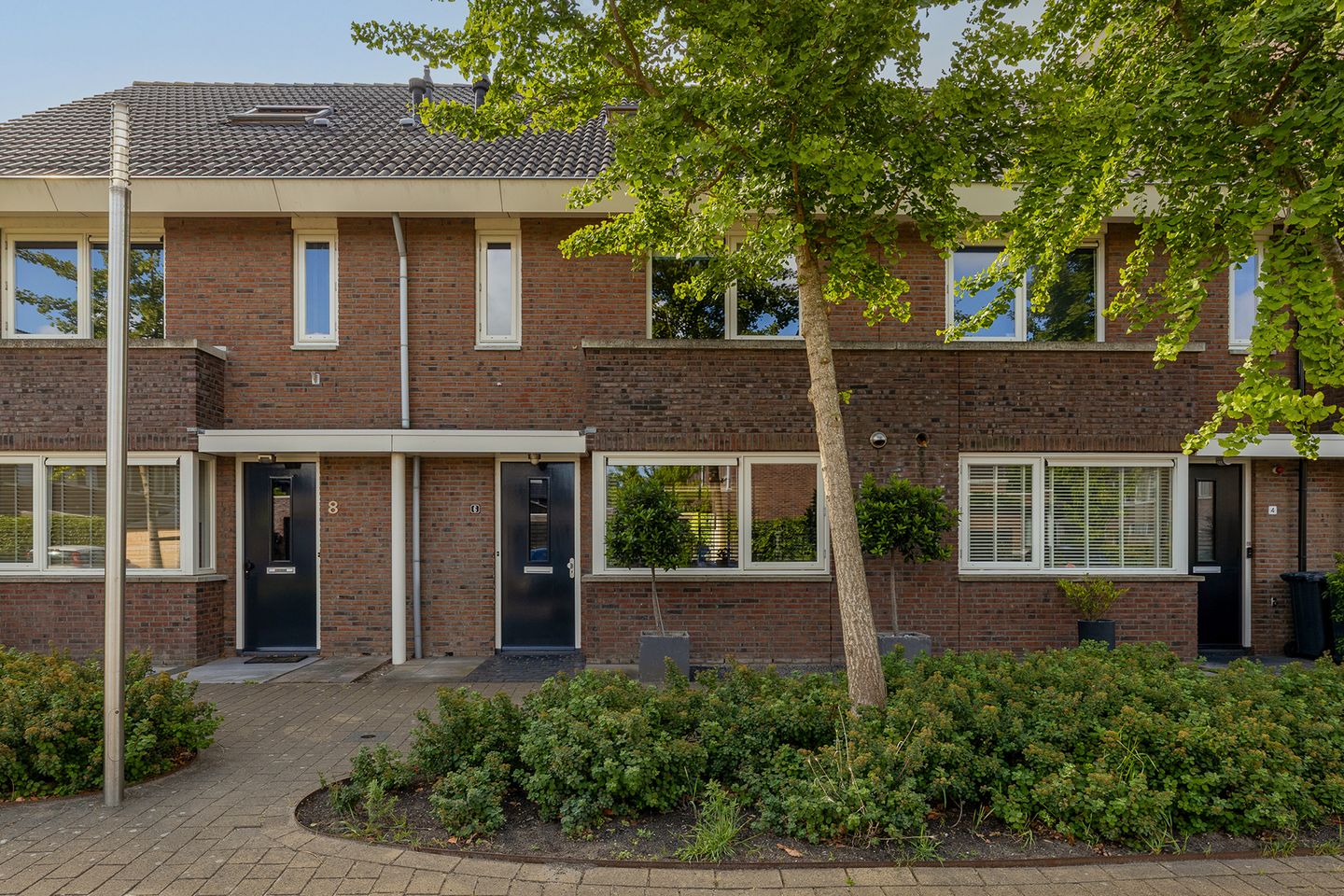 Foto 35 van Grijze Walvis 6