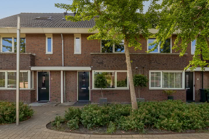 Foto 35 van Grijze Walvis 6