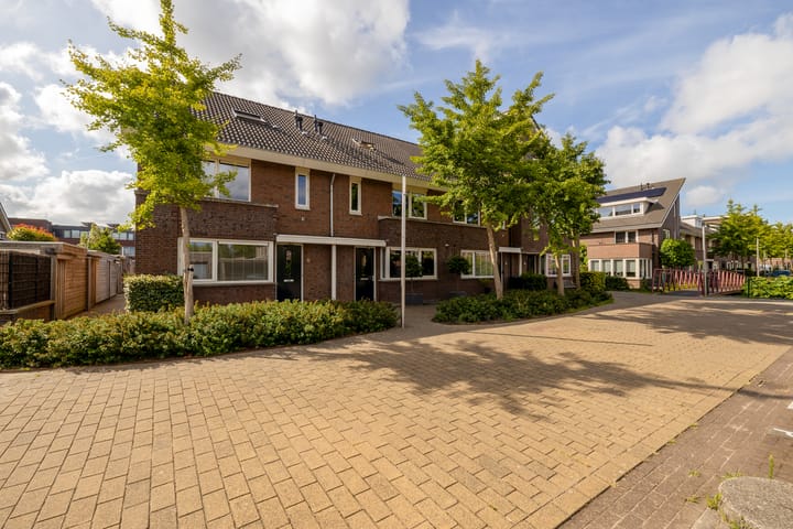 Foto 36 van Grijze Walvis 6