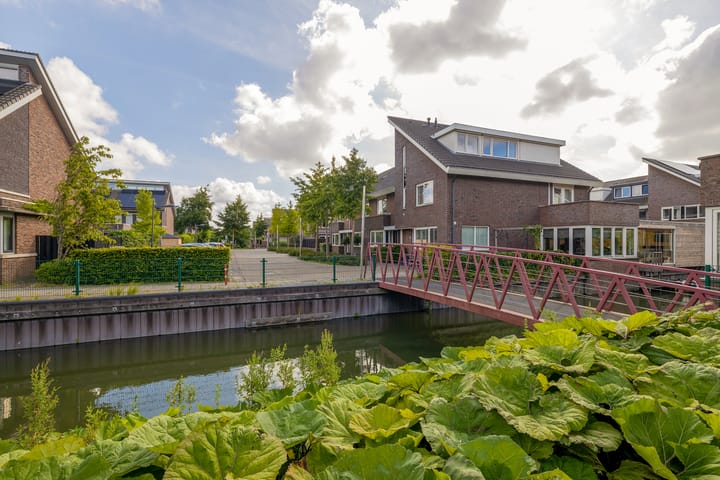 Foto 37 van Grijze Walvis 6